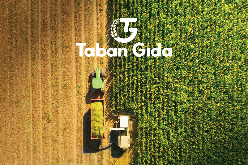 Taban Gıda